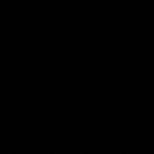 Meet your Posher, Ana