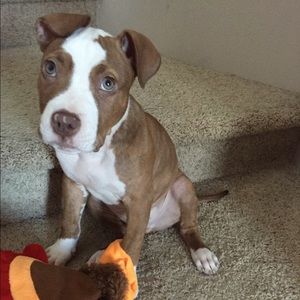 Meet your Posher, Kira