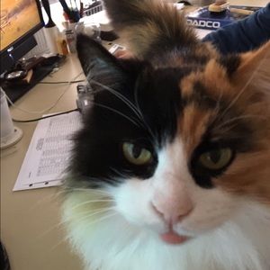 Meet your Posher, Tonja