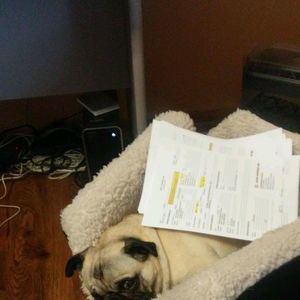 Meet your Posher, Fran