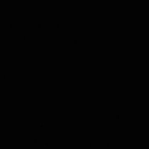 Meet your Posher, Damion