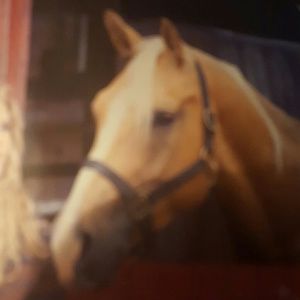 Meet your Posher, Sondra