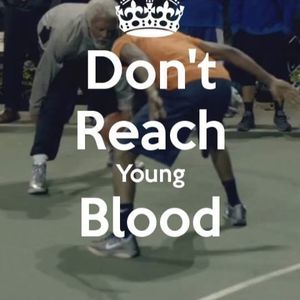 Meet your Posher, Bo