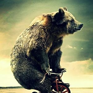 Meet your Posher, Nathan