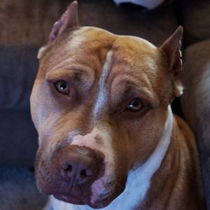 Meet your Posher, Jaclynn