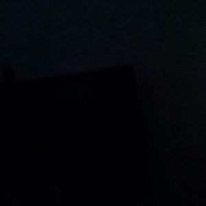 Meet your Posher, Cheyenne