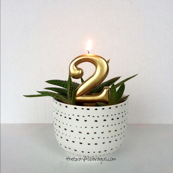 NEW post on the blog! theGrayAsparagus.com - Picture 7 of 7