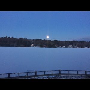 Meet your Posher, Tara