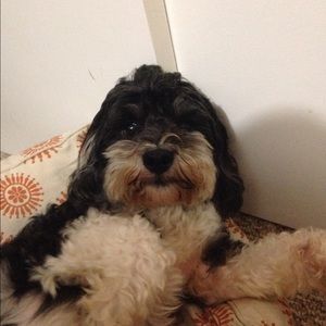 Meet your Posher, Christine