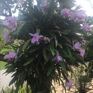 Meet your Posher, Grettel