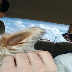 Meet your Posher, Dorothy