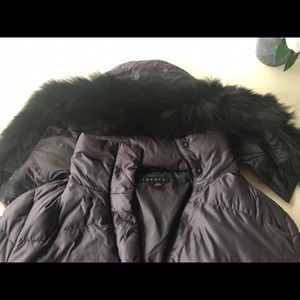 THEORY DOWN JACKET with black FOX HOOD