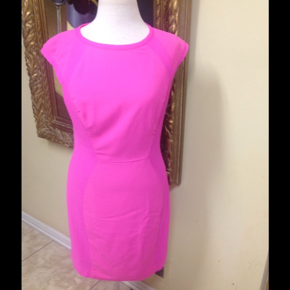 Ted Baker London Dresses & Skirts - Ted Baker Pink Dress Size 4