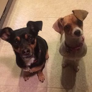 Meet your Posher, Miranda