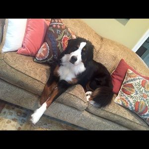 Meet your Posher, Jane