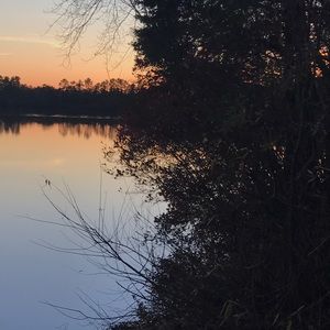 Meet your Posher, Joanis