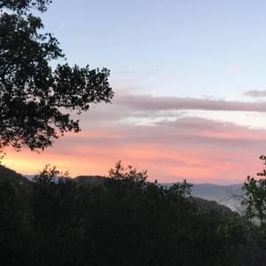 Meet your Posher, Naomi