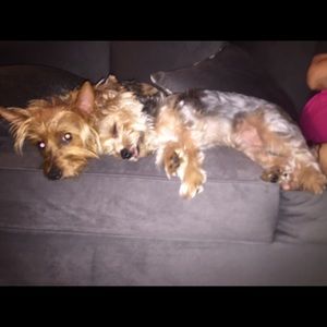 Meet your Posher, Isabela