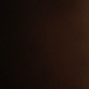 Meet your Posher, Ally