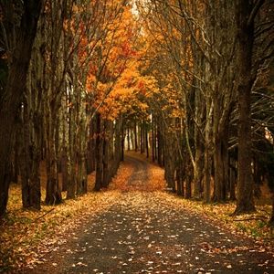 Meet your Posher, Joanna