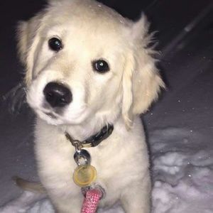 Meet your Posher, Kathryn