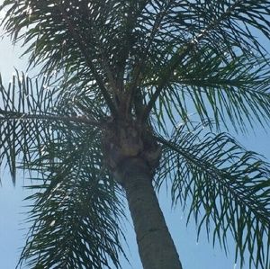 Meet your Posher, Shari