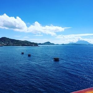 Meet your Posher, Carmen