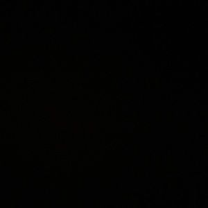 Meet your Posher, Madi