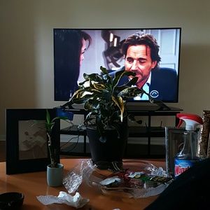 Meet your Posher, Damon