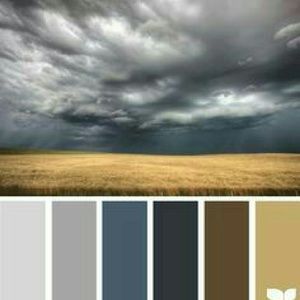 Meet your Posher, Terriana