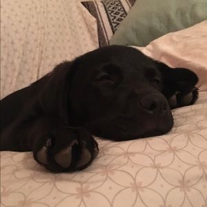 Meet your Posher, Carla