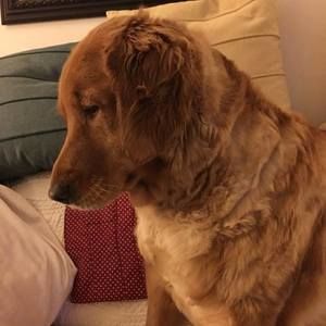 Meet your Posher, Diane