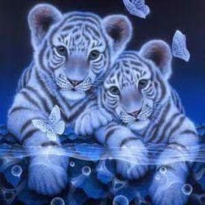 Meet your Posher, Sherri