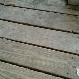 Meet your Posher, Dexter