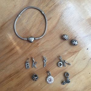 NEED GONE Pandora Bracelet and/or charms
