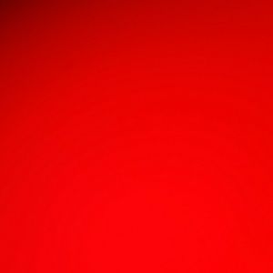 Meet your Posher, Jacki