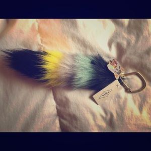 Fossil Racoon Purse charm ✨