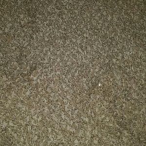 Meet your Posher, Susie