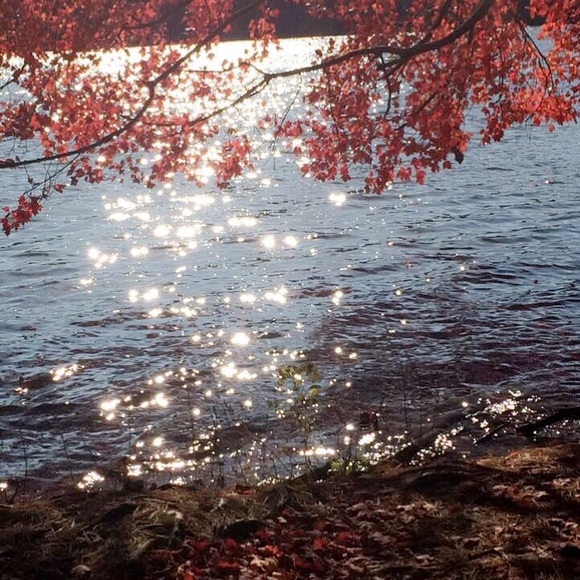 Meet your Posher, Whitney - Picture 1 of 1