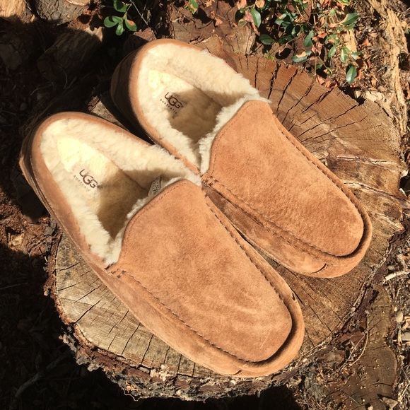Ugg Slippers.  12