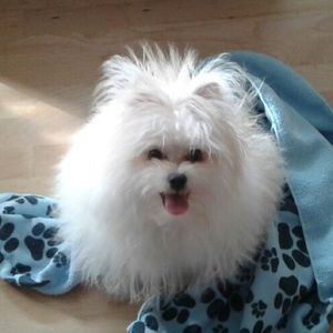 Meet your Posher, June