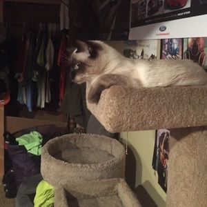 Meet your Posher, Brianna