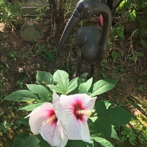 Meet your Posher, Hersel