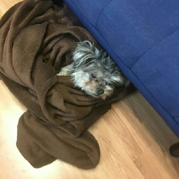 Meet your Posher, Emily