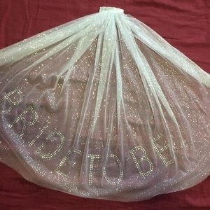 Bride-to-be Party Veil