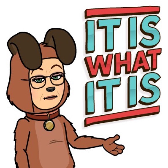 Pet Carriers... - Picture 5 of 5