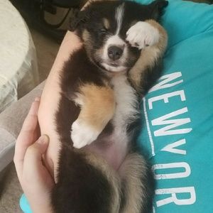 Meet your Posher, Tanya