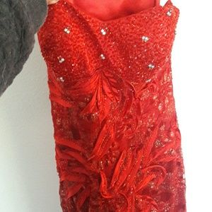 Beautiful form fitting beaded dress