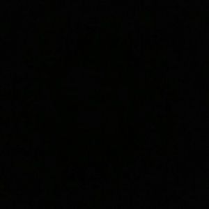 Meet your Posher, Selvyn