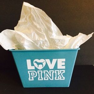 Love Pink 💕10x10 Storage Bin
